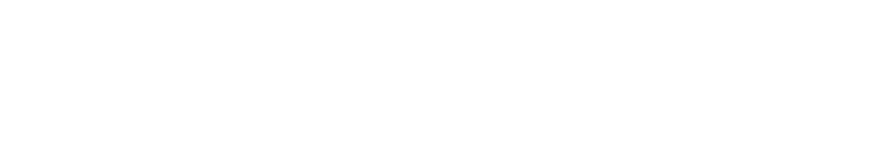 Volkswagen, Audi, Skoda en SEAT